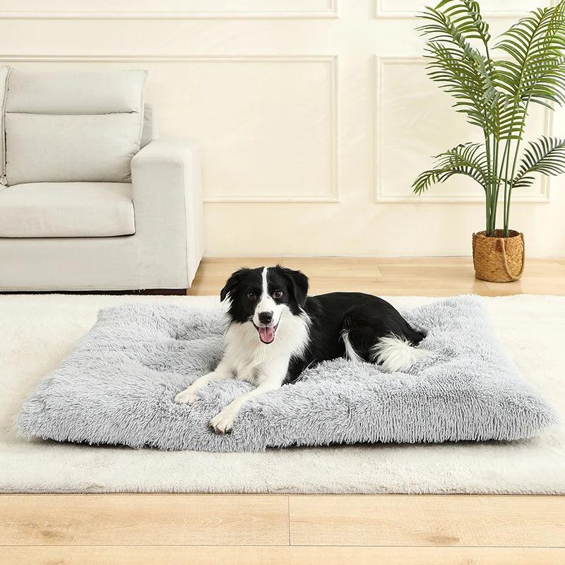 Cama Conforto para Pets