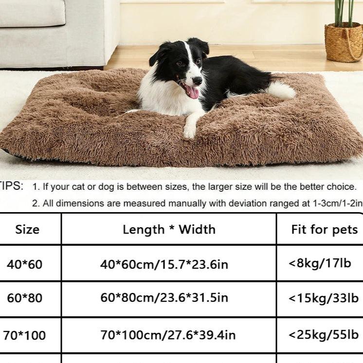 Cama Conforto para Pets