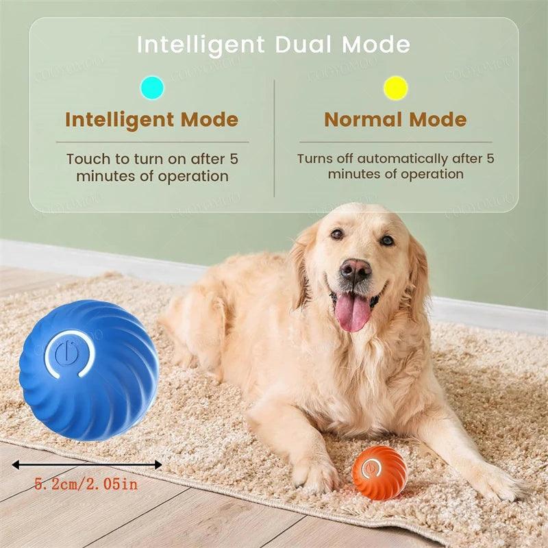 Bola Mágica para Pets
