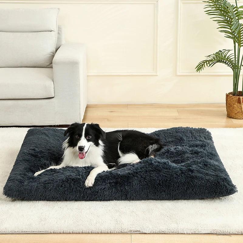Cama Conforto para Pets