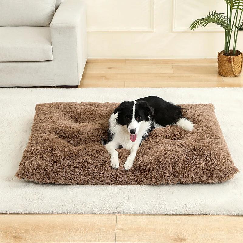 Cama Conforto para Pets
