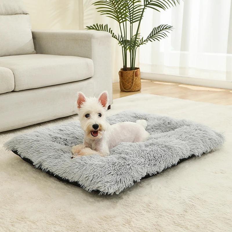 Cama Conforto para Pets