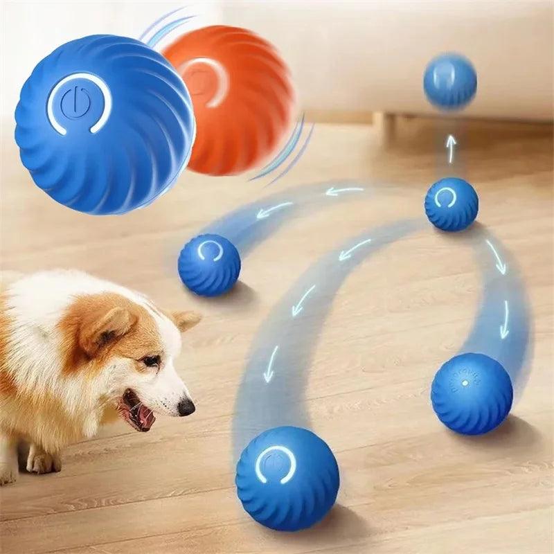 Bola Mágica para Pets