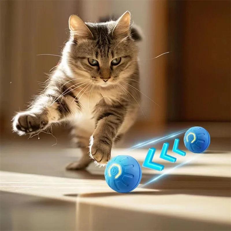 Bola Mágica para Pets