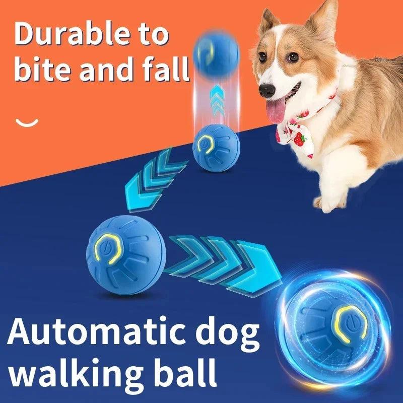 Bola Mágica para Pets