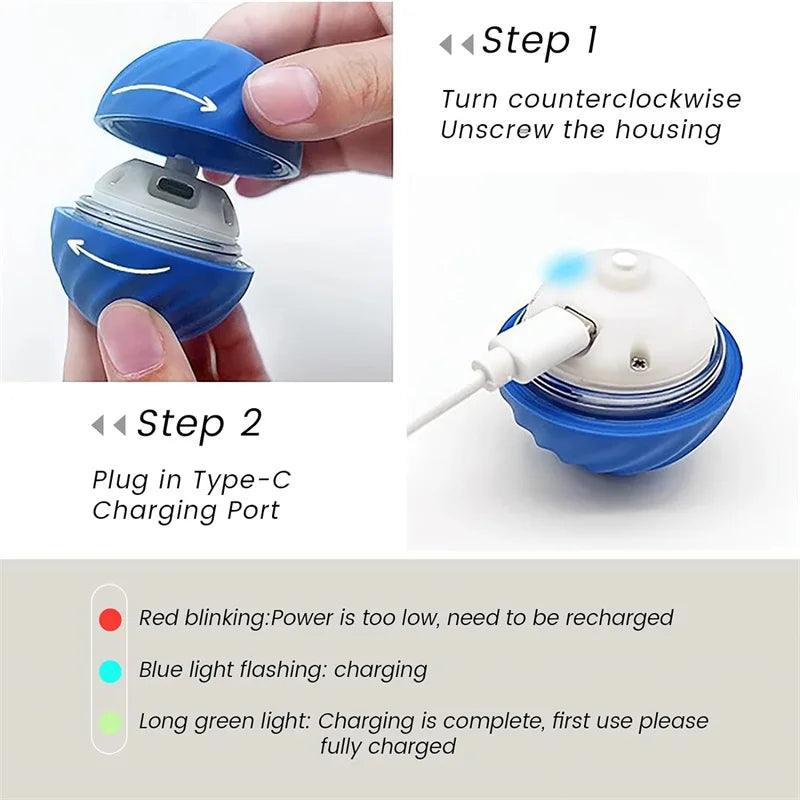 Bola Mágica para Pets