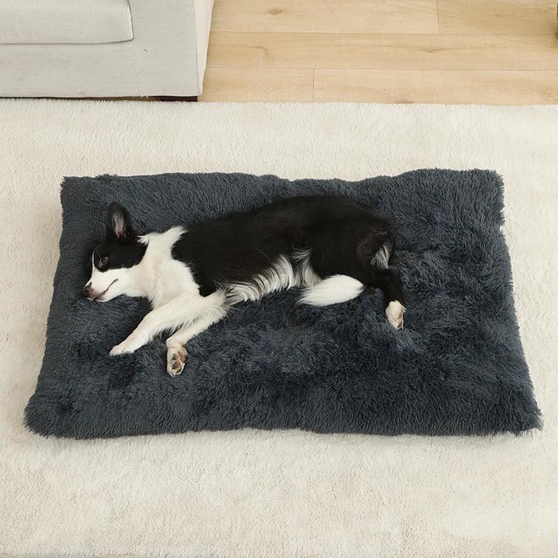 Cama Conforto para Pets